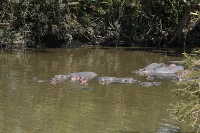 DSC_3509 (Large).JPG